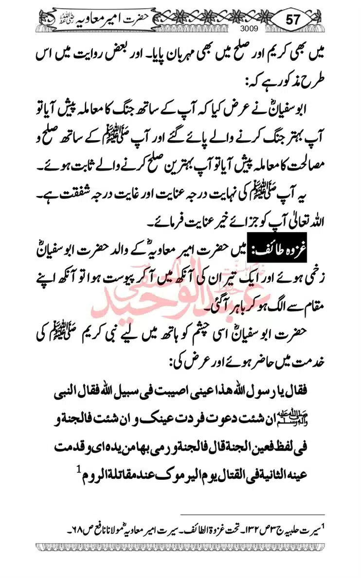 khilafat-e-Ameer-Muawiya-ibn-Abi-Sufyan_page-0058