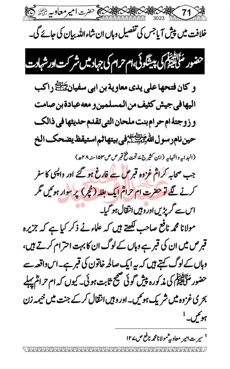 khilafat-e-Ameer-Muawiya-ibn-Abi-Sufyan_page-0072