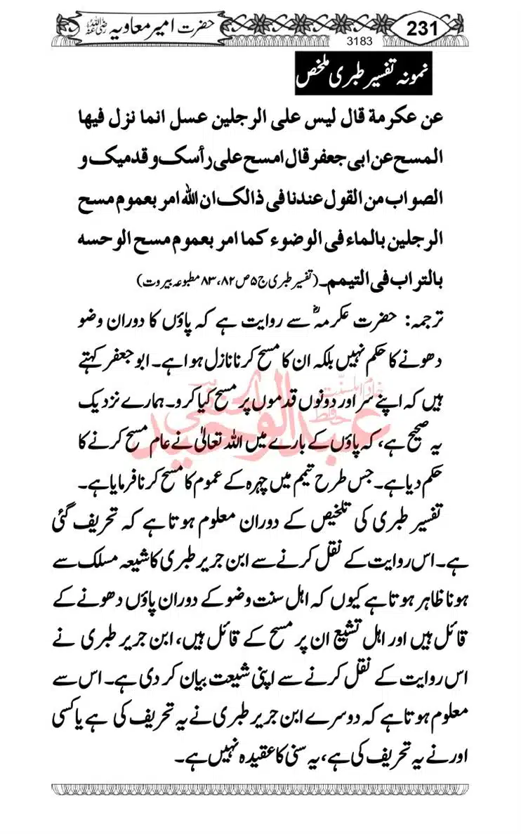 khilafat-e-Ameer-Muawiya-ibn-Abi-Sufyan_page-0232