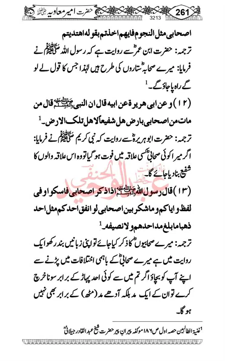 khilafat-e-Ameer-Muawiya-ibn-Abi-Sufyan_page-0262