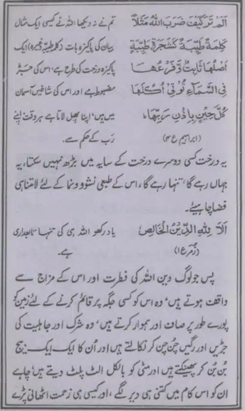 Deen-e-Haq-Aur-Ulama-e-Rabbani_page-0017