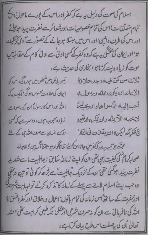 Deen-e-Haq-Aur-Ulama-e-Rabbani_page-0022