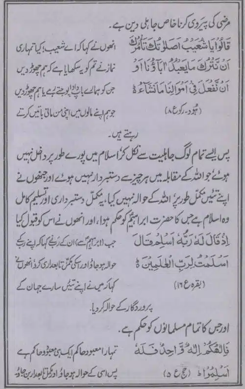 Deen-e-Haq-Aur-Ulama-e-Rabbani_page-0024