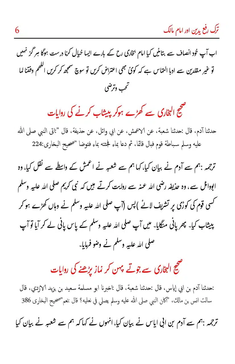 Tark-e-Rafa-Yadyn-our-Imam-Malik_page-0008