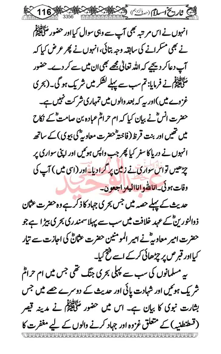 Seerat-O-Shahadat-Hazrat-Hussain-ra_page-0117