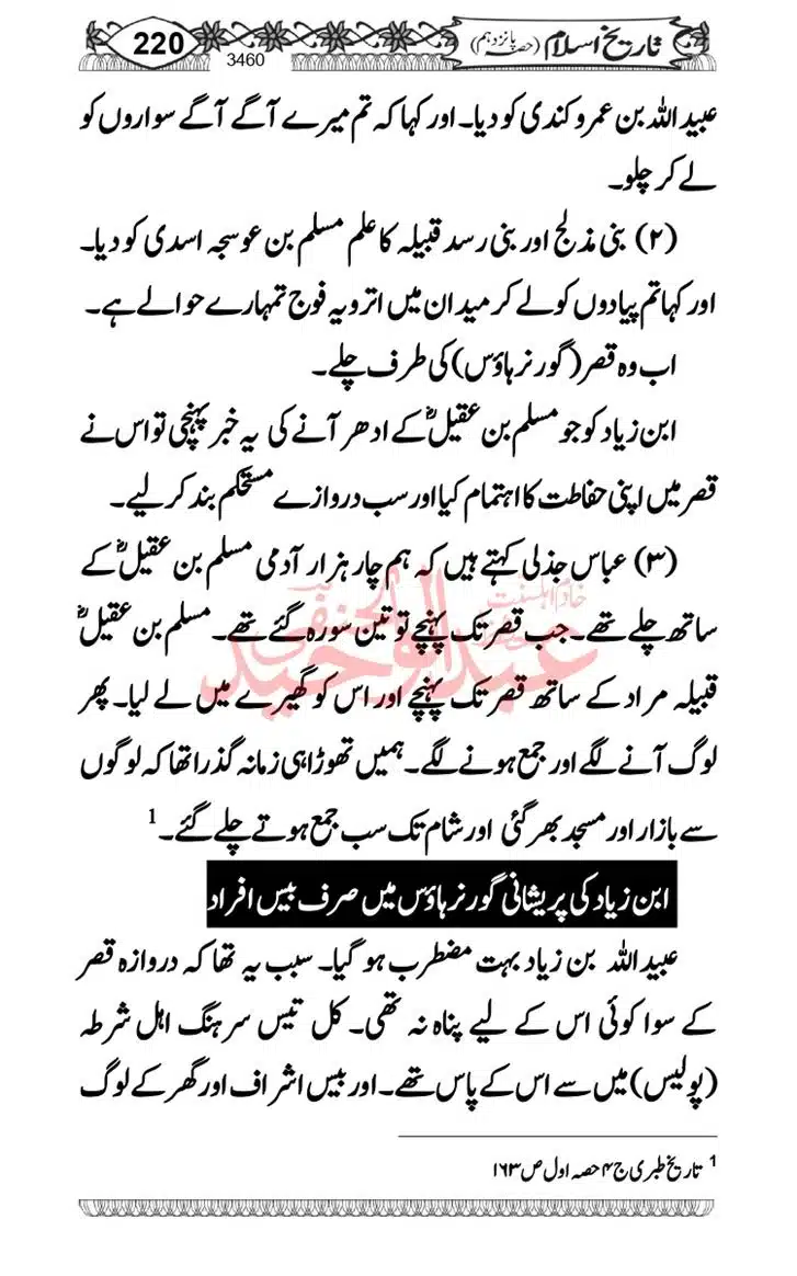 Seerat-O-Shahadat-Hazrat-Hussain-ra_page-0221