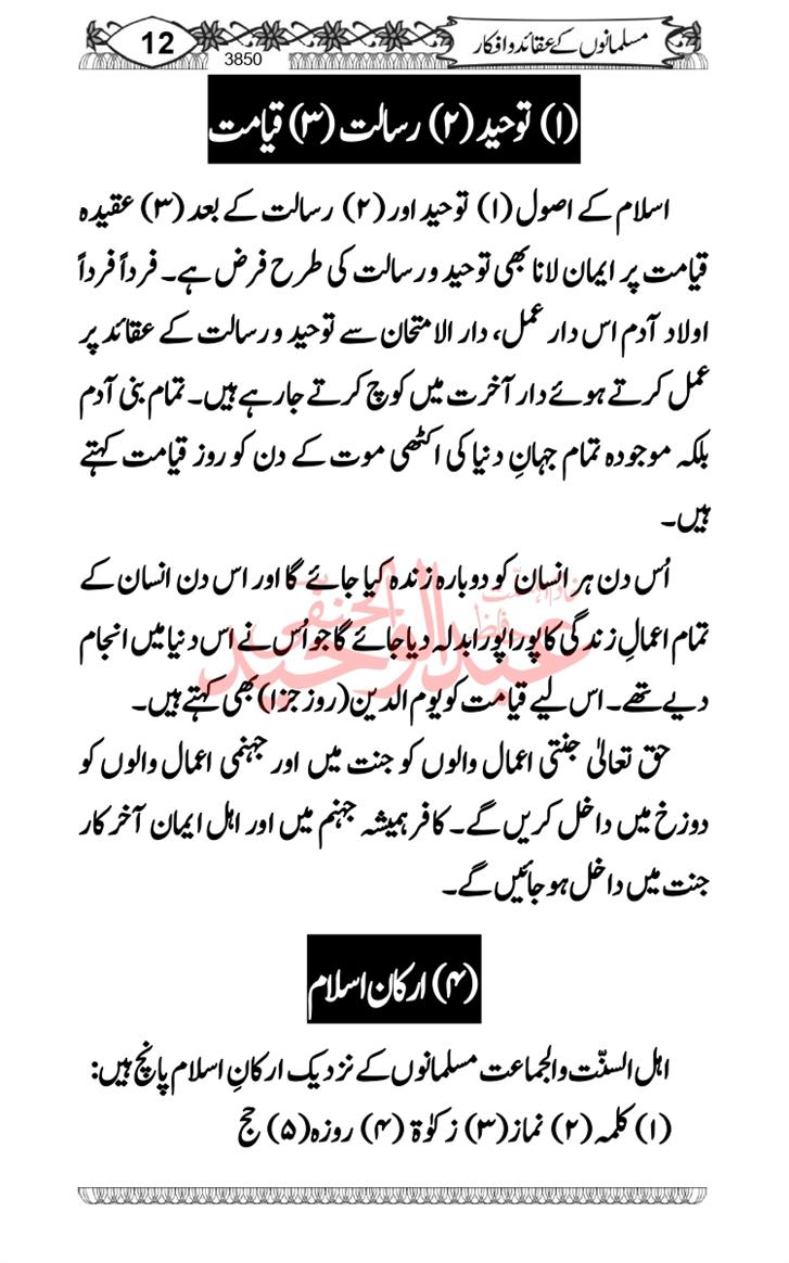 Seerat-O-Shahadat-Hazrat-Hussain-ra_page-0611