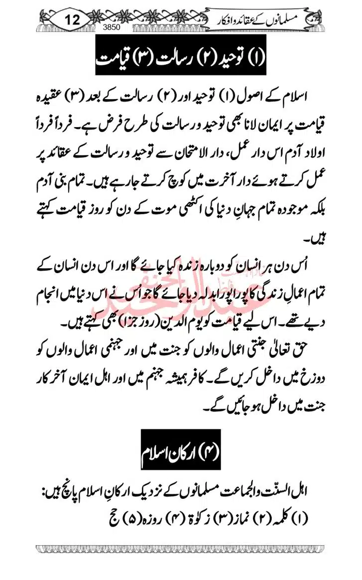 Seerat-O-Shahadat-Hazrat-Hussain-ra_page-0611