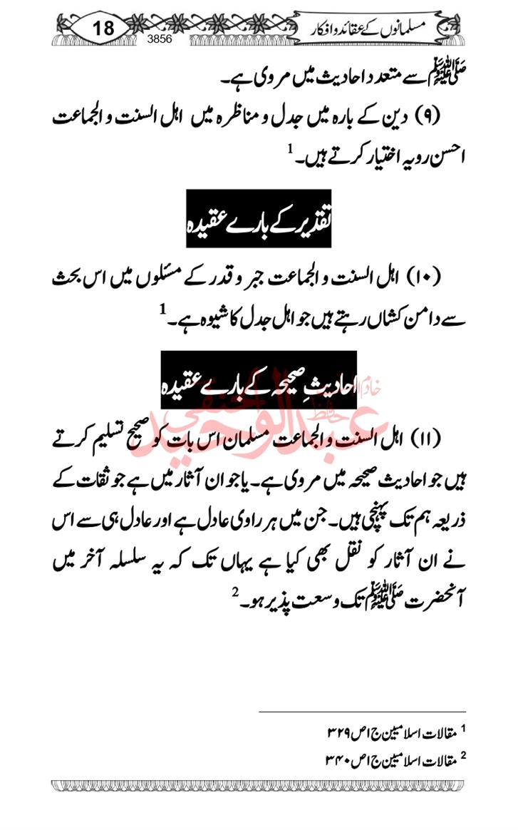 Seerat-O-Shahadat-Hazrat-Hussain-ra_page-0617