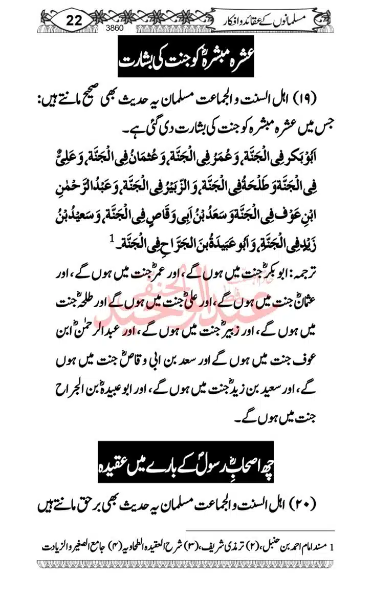 Seerat-O-Shahadat-Hazrat-Hussain-ra_page-0621