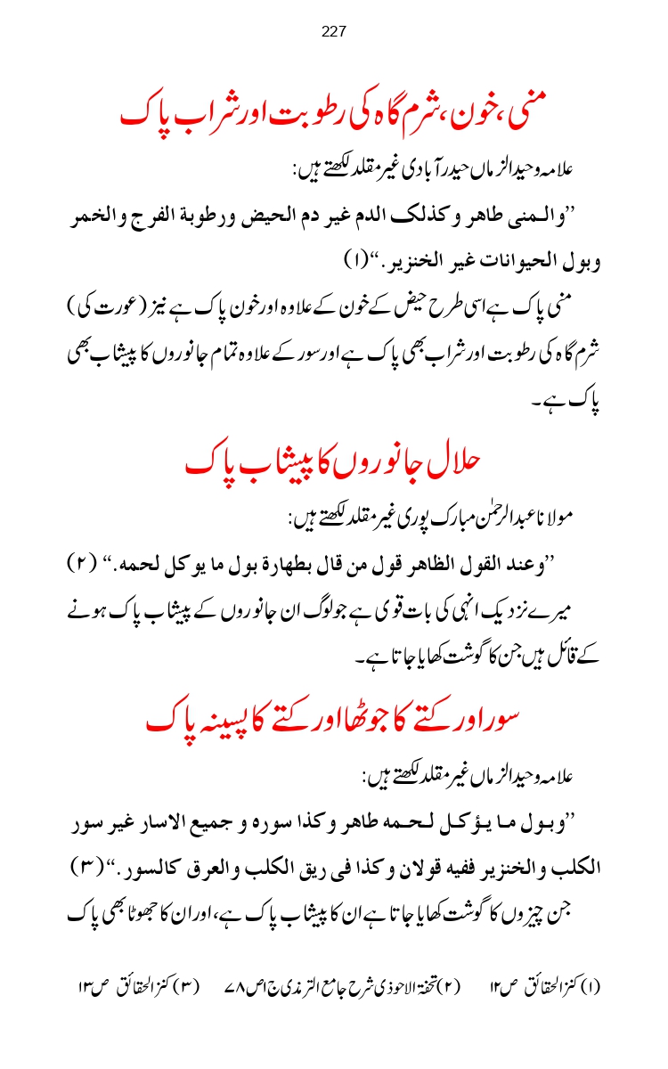 Firqa-Ahl-e-Hadees-Pak-o-Hind-ka-Tahqeqi-Jaiza_page-0254