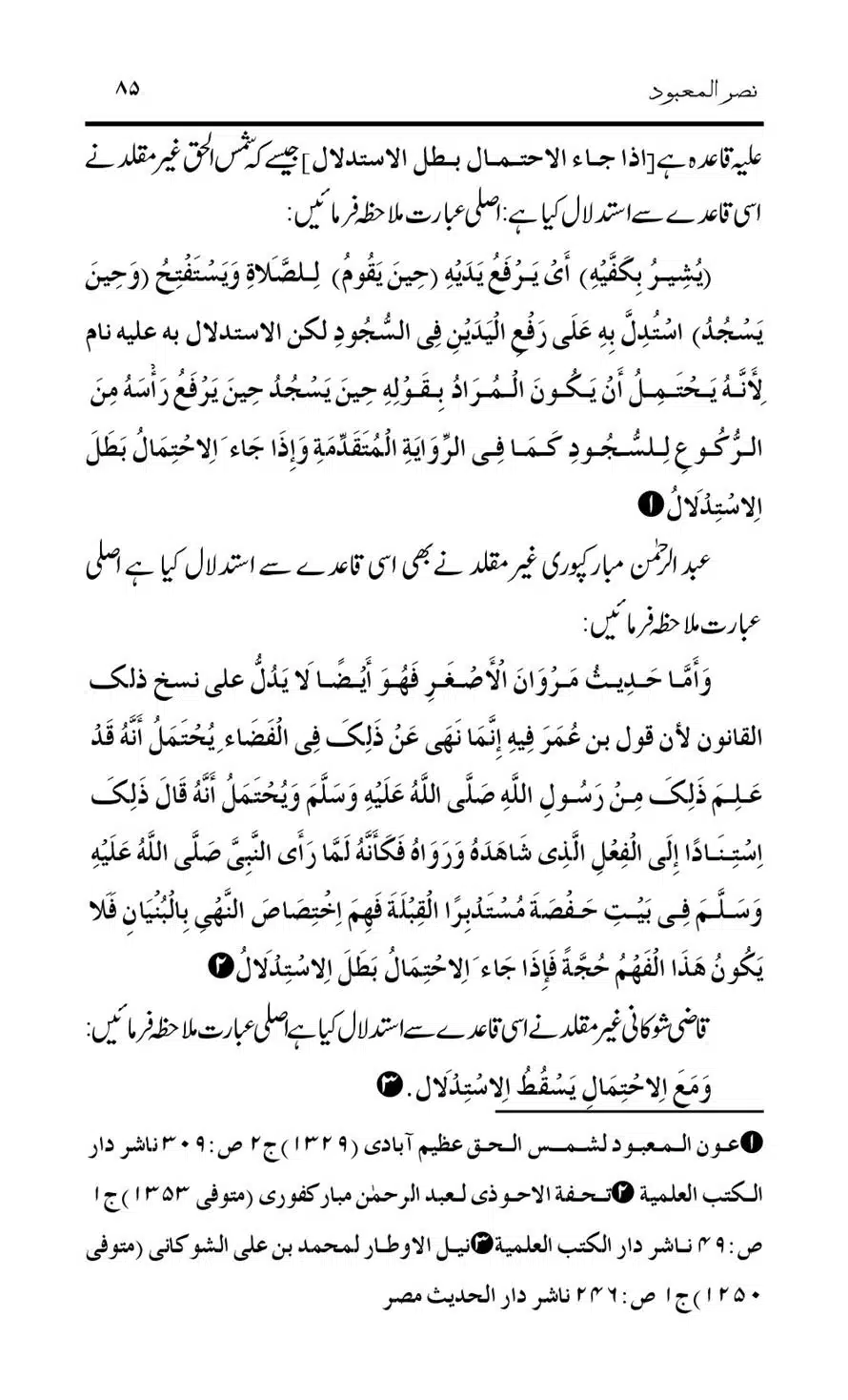 Tark-Raf-Yadain-se-Mutaliq-Hzt-Masood-ke-Riwayat-ka-Tahqiqi-Jaiza_00085
